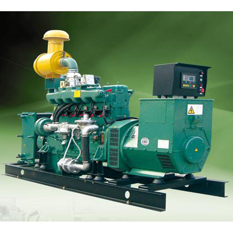 Biogas generator equipment used in biogas electricity project